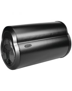 DISCONTINUED - Bazooka BTA10100FHC 100-Watt BT Series Amplified Tube Subwoofer 10 inch
